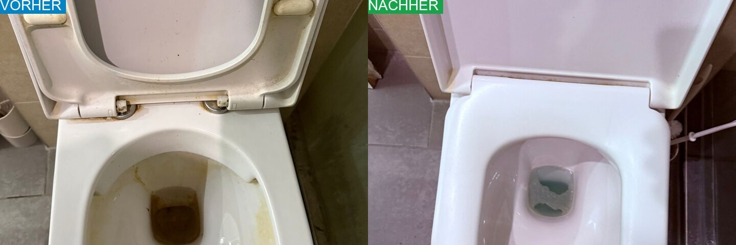 AYA Reinigung Vorher Nachher