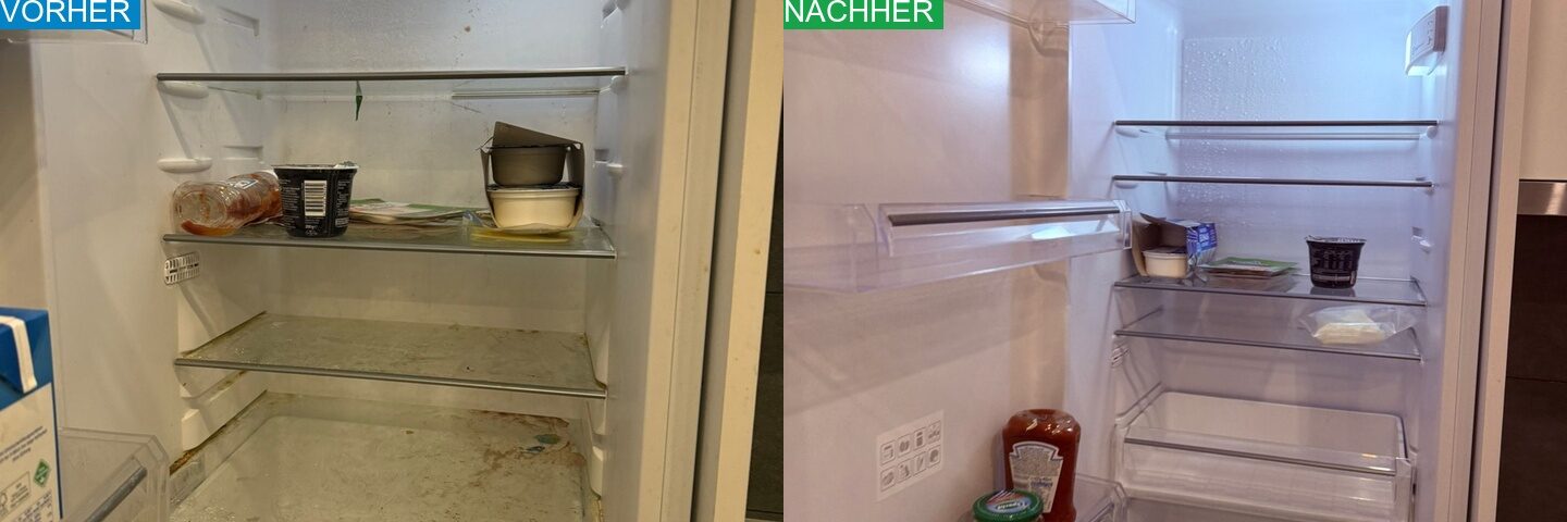 AYA Reinigung Vorher Nachher