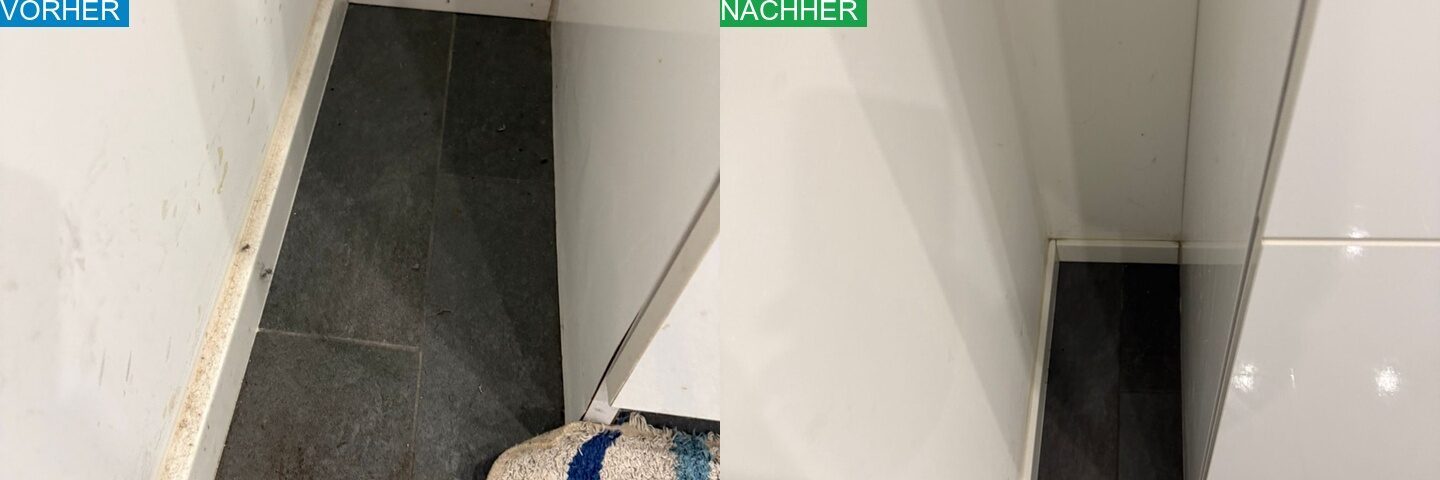 AYA Reinigung Vorher Nachher