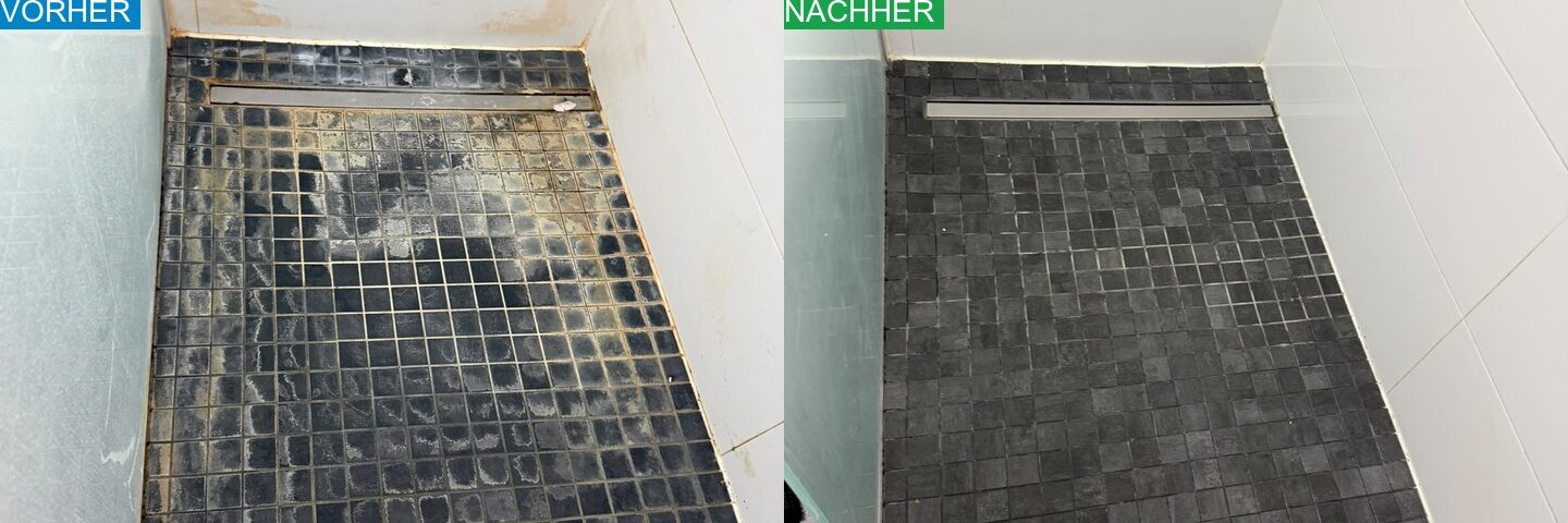 AYA Reinigung Vorher Nachher