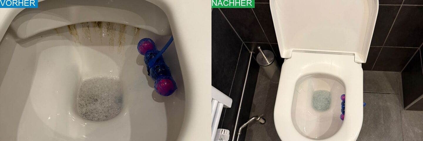 AYA Reinigung Vorher Nachher
