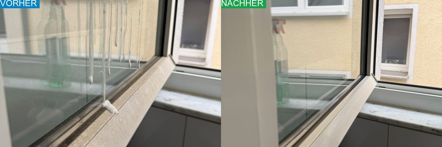 AYA Reinigung Vorher Nachher