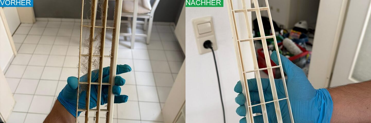 AYA Reinigung Vorher Nachher