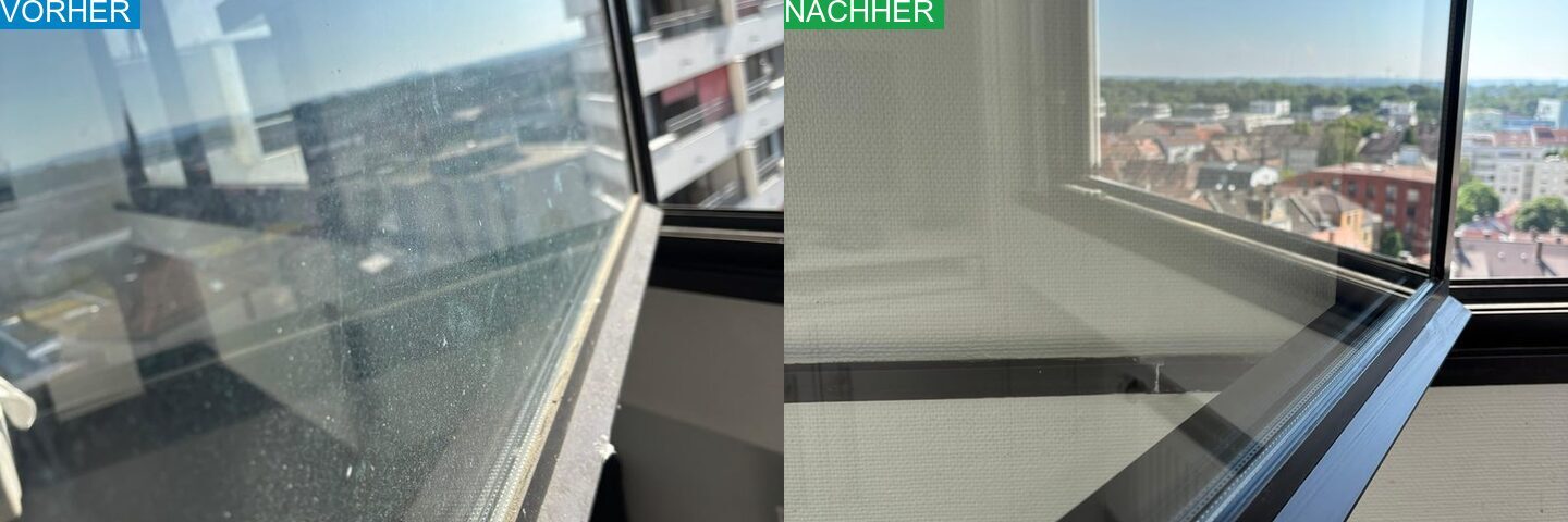 AYA Reinigung Vorher Nachher