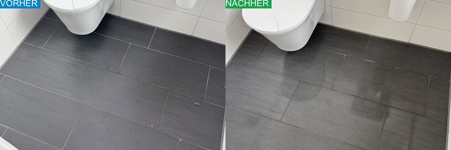 AYA Reinigung Vorher Nachher