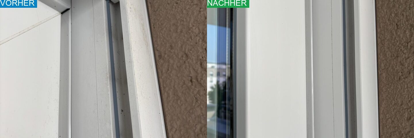 AYA Reinigung Vorher Nachher