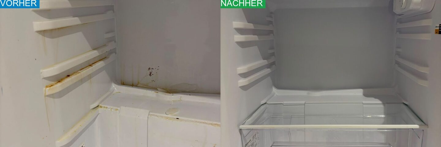 AYA Reinigung Vorher Nachher