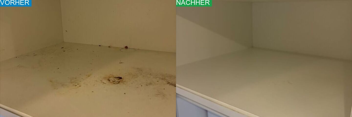 AYA Reinigung Vorher Nachher