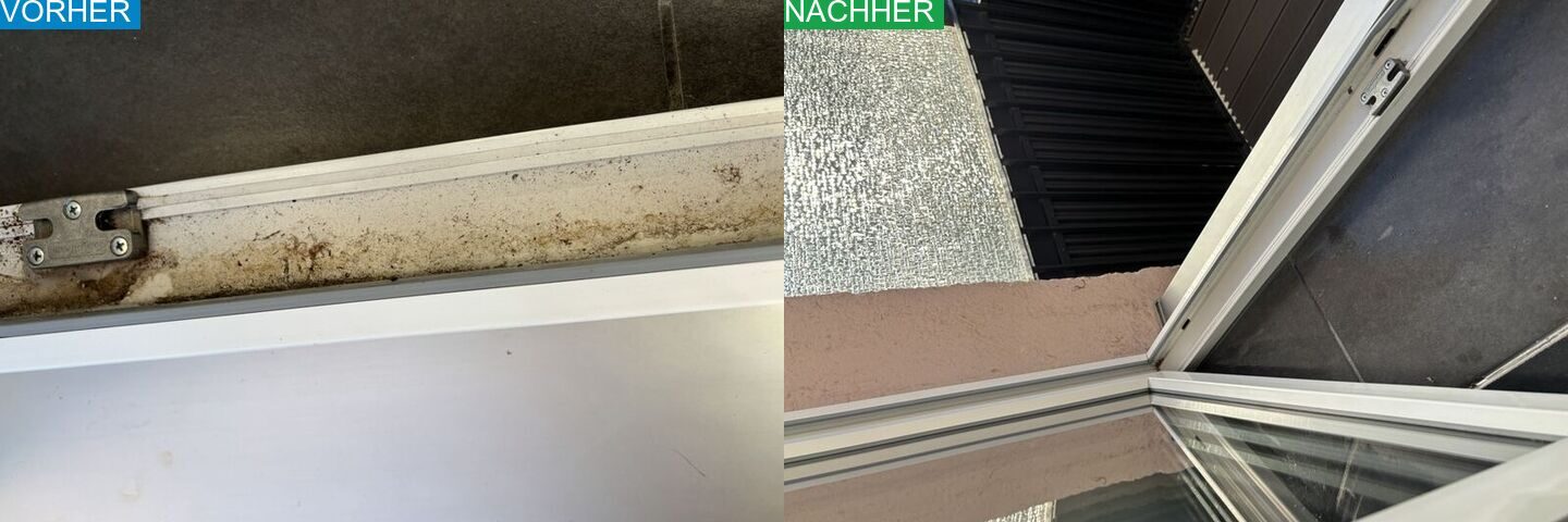 AYA Reinigung Vorher Nachher