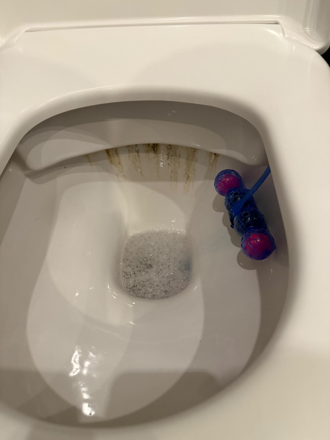 WC-Reinigung vorher