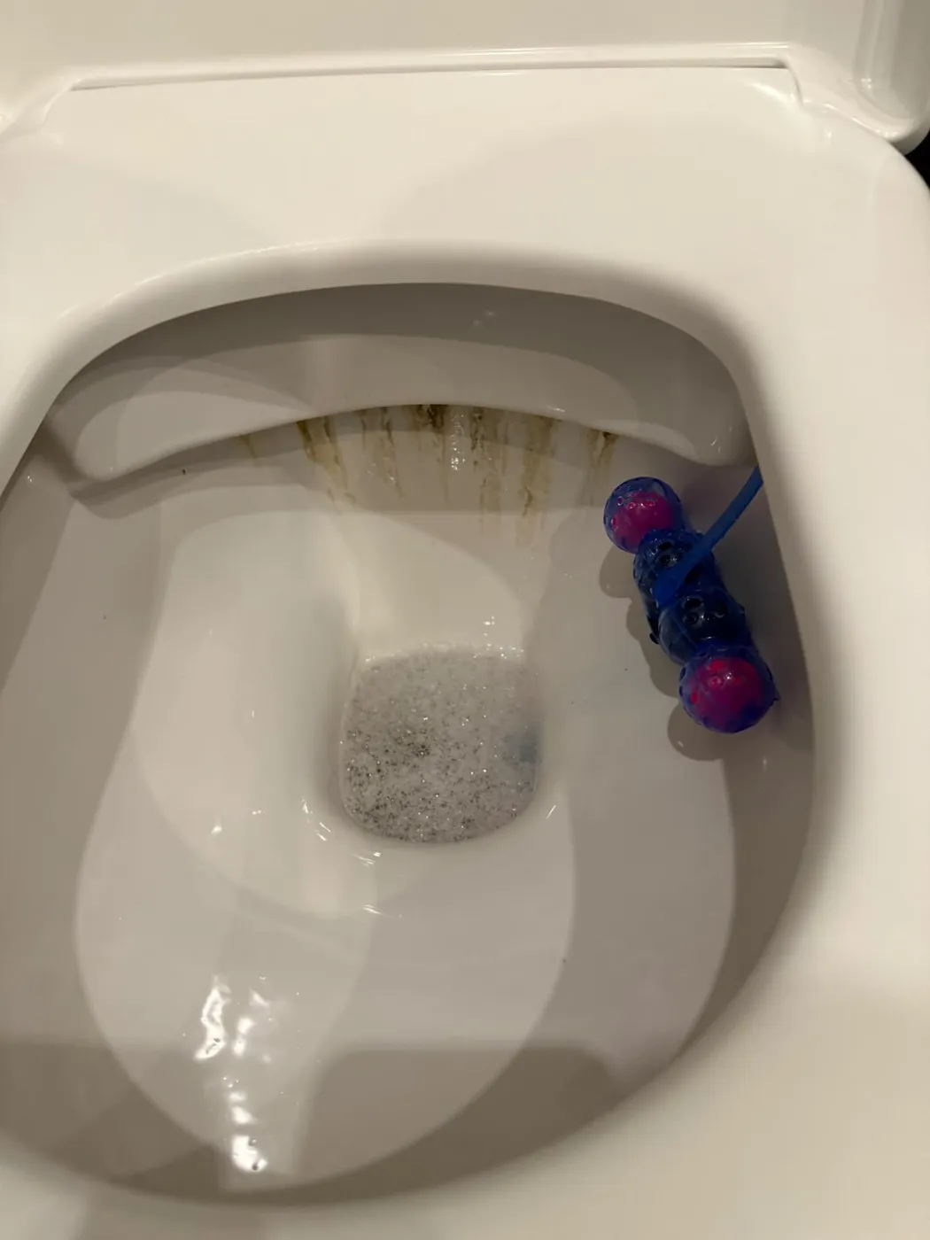 WC-Reinigung vorher