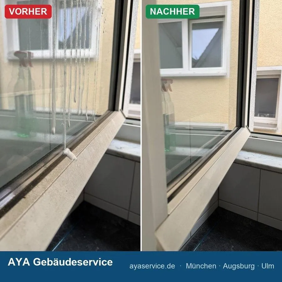 Vorher-Nachher Reinigung